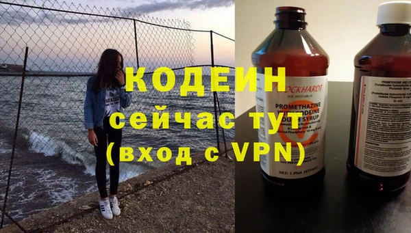 хмурый Нея