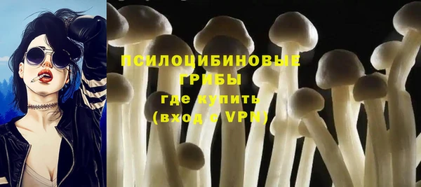 ешки Нефтегорск