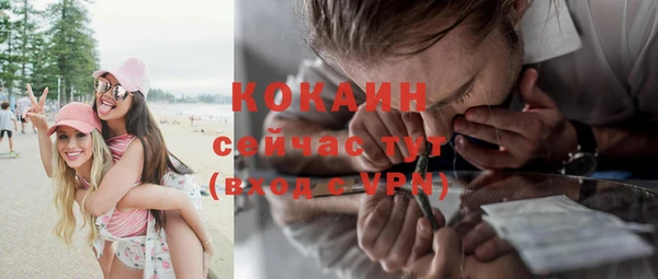 индика Надым