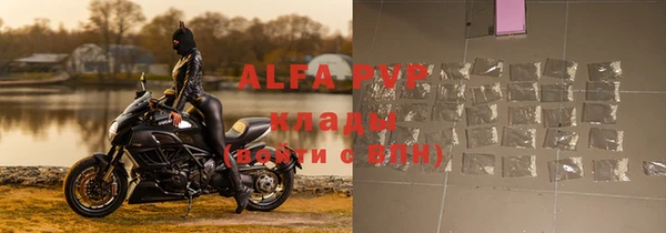 хмурый Нея