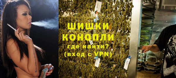 хмурый Нея