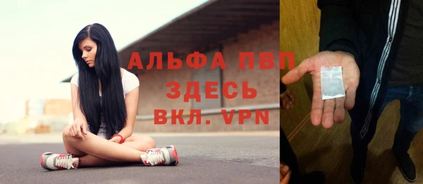 хмурый Нея