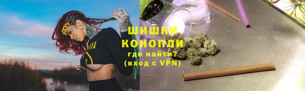 хмурый Нея