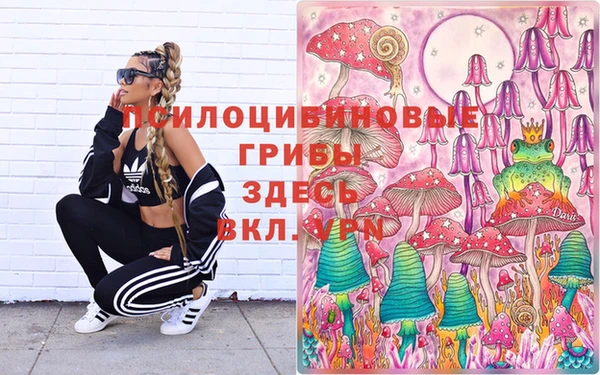 хмурый Нея