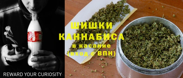 хмурый Нея