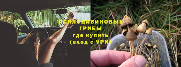 ешки Нефтегорск