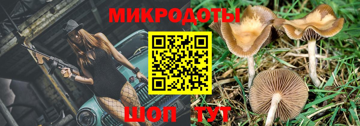 Котельники  Псилоцибиновые грибы MAGIC MUSHROOMS  Галлюциногенные грибы Magic Shrooms  Вход с VPN 