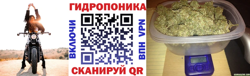 Канабис марихуана  Котельники 